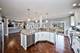 449 Buckeye, Naperville, IL 60540