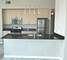 1620 S Michigan Unit 805, Chicago, IL 60616