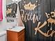 21 E 123rd, Chicago, IL 60628