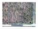 4625 Smith, Woodstock, IL 60098