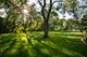 4S600 Karns, Naperville, IL 60563