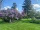 333 N Edgewood, La Grange Park, IL 60526