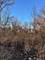 922 May, Waukegan, IL 60085
