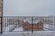 809 E 40th Unit 6-1, Chicago, IL 60653