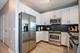 1629 S Prairie Unit 2509, Chicago, IL 60616