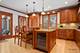 751 Moffett, Lake Bluff, IL 60044