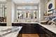 229 E Lake Shore Unit 8E, Chicago, IL 60611