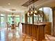 51 Ford, Naperville, IL 60565