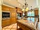 51 Ford, Naperville, IL 60565