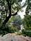51 Ford, Naperville, IL 60565