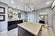 1000 N Lake Shore Unit 49D, Chicago, IL 60611