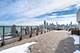 1660 N Lasalle Unit 3811, Chicago, IL 60614