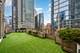 25 E Superior Unit 11D, Chicago, IL 60611