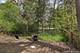 24570 W Middle Fork, Barrington, IL 60010