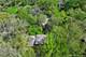 24570 W Middle Fork, Barrington, IL 60010