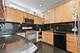 1414 N Sandburg Unit 1414, Chicago, IL 60610