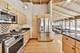 1016 N Oak Park, Oak Park, IL 60302