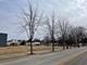 212 Dundee, Elgin, IL 60120