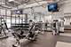 655 W Irving Park Unit 4602, Chicago, IL 60613