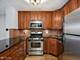 3900 N Pine Grove Unit 408, Chicago, IL 60613