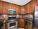3900 N Pine Grove Unit 408, Chicago, IL 60613