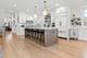 836 W Barry Unit 3, Chicago, IL 60657