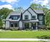 844 S Julian, Naperville, IL 60540