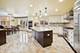 46 Hamilton, Oak Brook, IL 60523