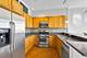 1819 S Michigan Unit 607, Chicago, IL 60616