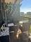 2605 S Indiana Unit 1508, Chicago, IL 60616
