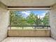 1401 Burr Oak Unit 202B, Hinsdale, IL 60521