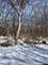 0 Arthur Lot 31, Crystal Lake, IL 60014
