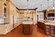 23 Enclave, South Barrington, IL 60010
