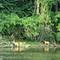 1756 Winaki, Algonquin, IL 60102
