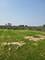 10807 71st, Countryside, IL 60525