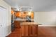 2930 N Sheridan Unit 1411, Chicago, IL 60657
