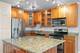 2930 N Sheridan Unit 1411, Chicago, IL 60657