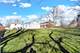 422 E Harrison, Elmhurst, IL 60126