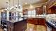 205 Burr Oak, Elgin, IL 60124