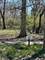24863 W Sterling Oaks, Shorewood, IL 60404