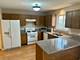 227 Wellington, Gurnee, IL 60031