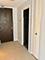 233 E Erie Unit 1507, Chicago, IL 60611