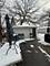 14309 Cottage Grove, Dolton, IL 60419