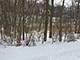 5N572 Hidden Springs, St. Charles, IL 60175