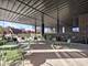 11 W Prospect Unit 215, Mount Prospect, IL 60056