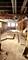 1621 S Lawndale, Chicago, IL 60623