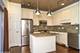 2517 S Calumet Unit 31A, Chicago, IL 60616