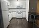 860 N Dewitt Unit 203, Chicago, IL 60611