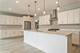 1066 Livingston (Lot 2), Highland Park, IL 60035