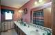 43 Sun Hill, Lemont, IL 60439